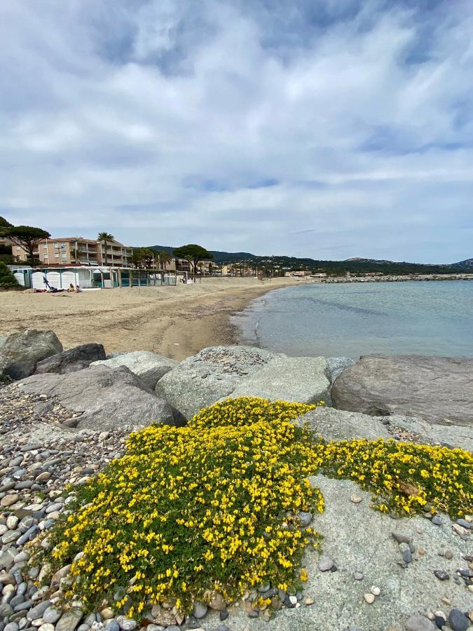 Studio 150 M De Plage Golfe De Saint-Tropez Cavalaire-sur-Mer Luaran gambar